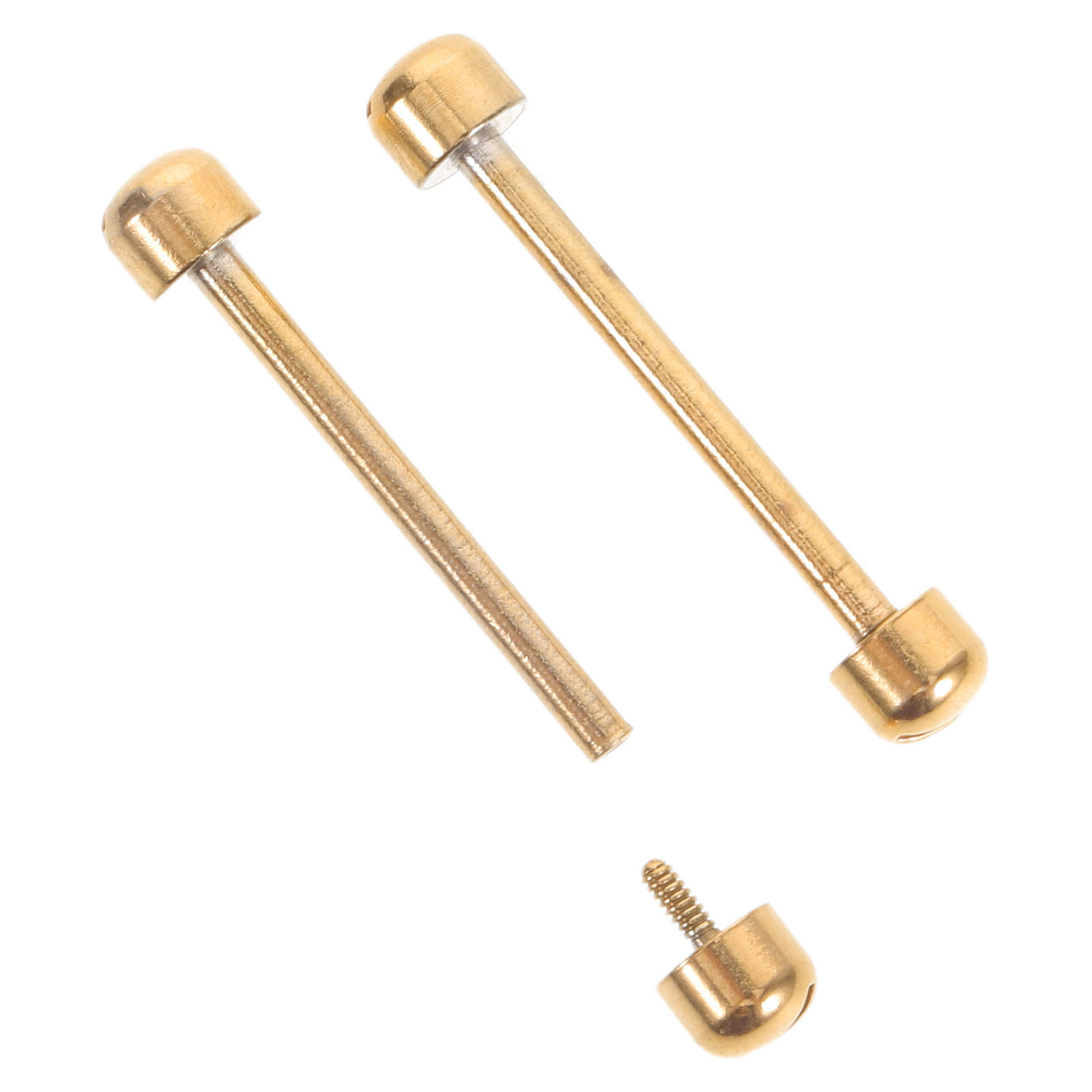 2Pcs Watch Bracelet Screw Pin  - Watch Strap Replacement review and price